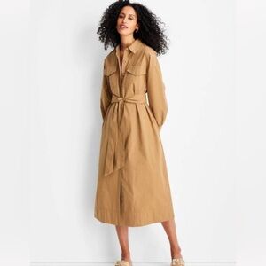 Future Collective Belted Maxi Shirtdress Brown/Black Striped Large